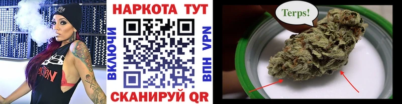 Купить закладку Псилоцибиновые грибы  Мефедрон  Alpha PVP  МАРИХУАНА  Гашиш  Cocaine  Пошехонье