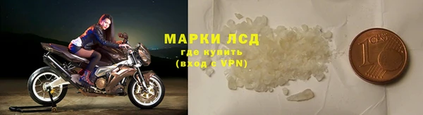 стафф Козловка