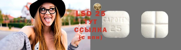 стафф Козловка